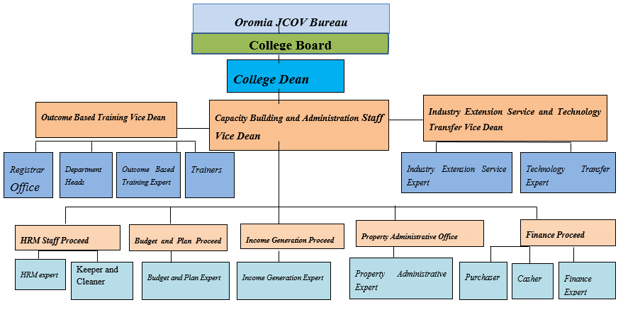 Organizational Structure
